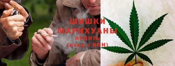 мяу мяу мука Няндома