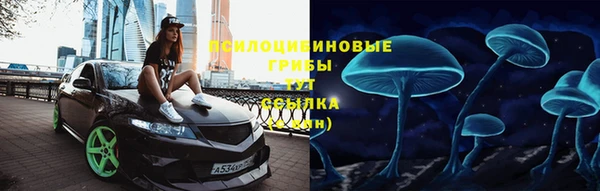 гидропоника Нягань