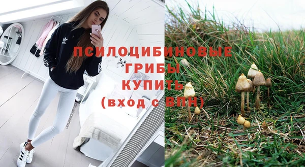 спайс Новодвинск