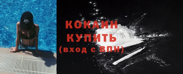 спайс Новодвинск